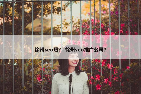 徐州seo短？ 徐州seo推广公司？