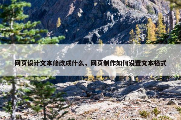 网页设计文本修改成什么，网页制作如何设置文本格式