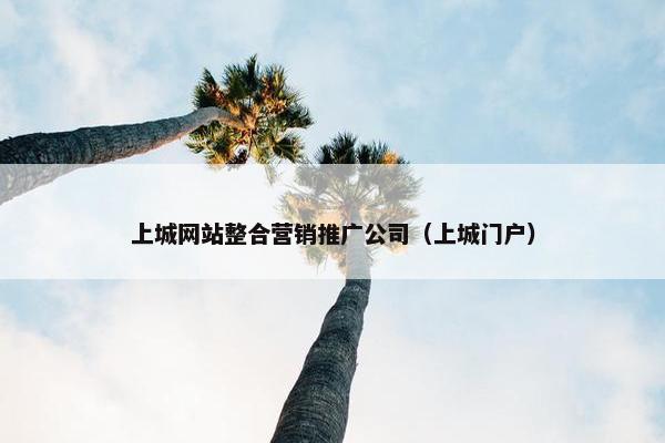 上城网站整合营销推广公司（上城门户）