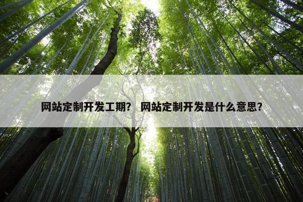 网站定制开发工期？ 网站定制开发是什么意思？