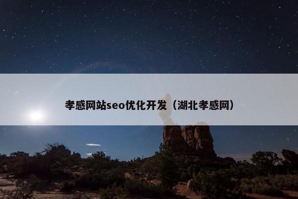 孝感网站seo优化开发（湖北孝感网）