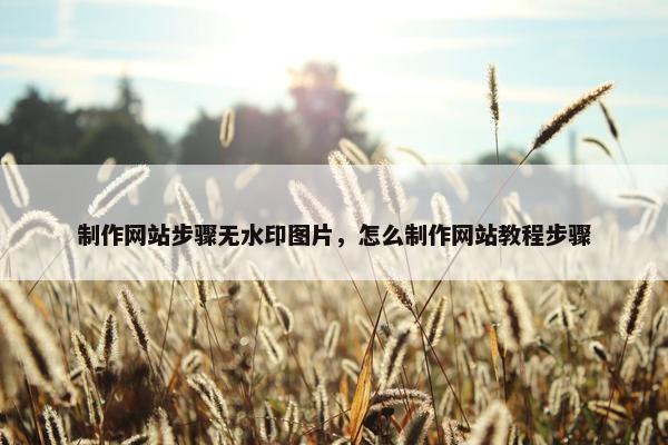 制作网站步骤无水印图片，怎么制作网站教程步骤