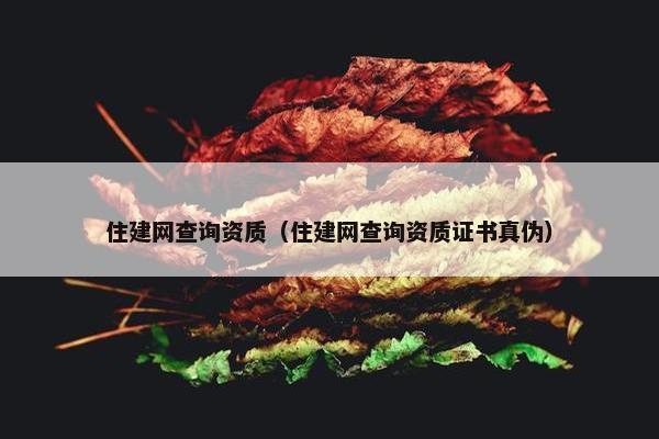 住建网查询资质（住建网查询资质证书真伪）