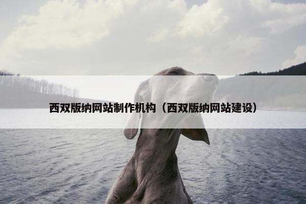 西双版纳网站制作机构（西双版纳网站建设）