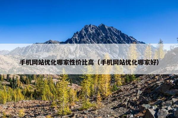 手机网站优化哪家性价比高（手机网站优化哪家好）