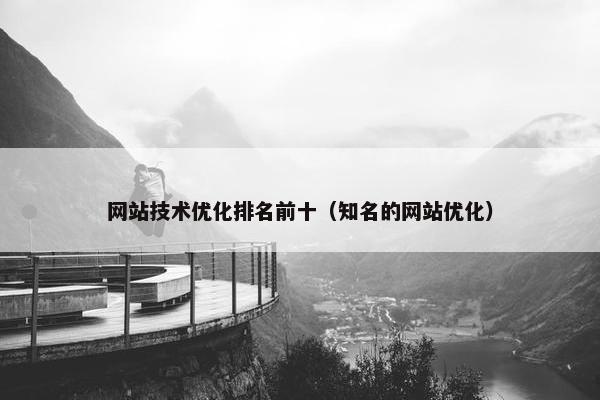 网站技术优化排名前十（知名的网站优化）