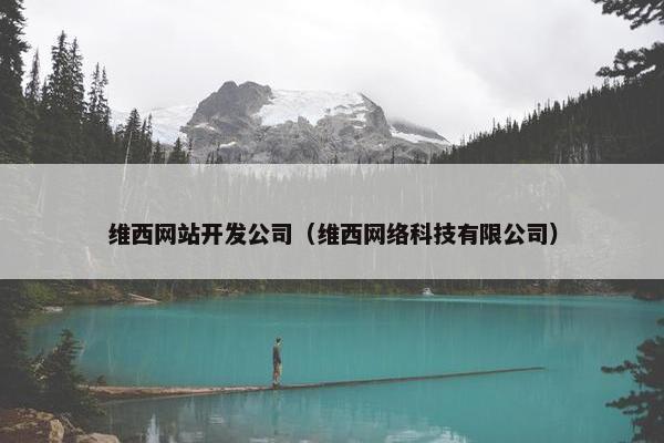 维西网站开发公司（维西网络科技有限公司）