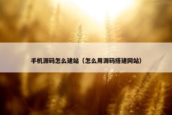 手机源码怎么建站（怎么用源码搭建网站）
