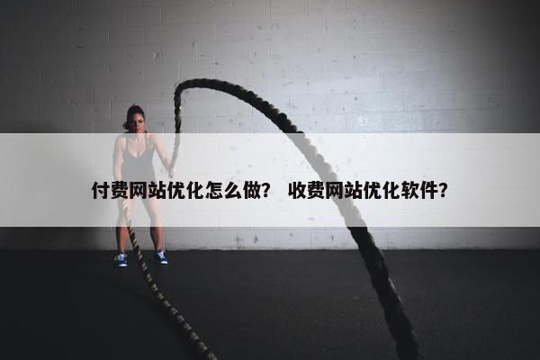 付费网站优化怎么做？ 收费网站优化软件？