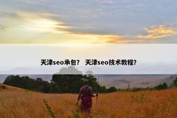 天津seo承包？ 天津seo技术教程？