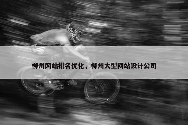 柳州网站排名优化，柳州大型网站设计公司