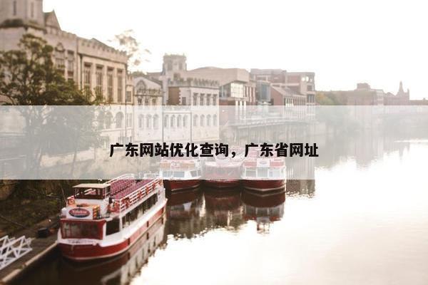 广东网站优化查询，广东省网址