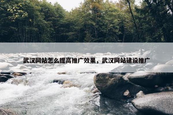武汉网站怎么提高推广效果，武汉网站建设推广