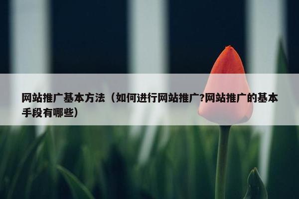 网站推广基本方法（如何进行网站推广?网站推广的基本手段有哪些）