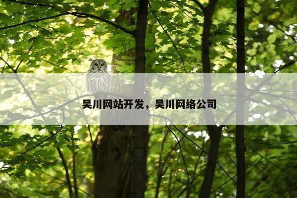 吴川网站开发，吴川网络公司