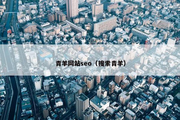 青羊网站seo（搜索青羊）