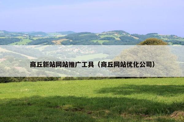 商丘新站网站推广工具（商丘网站优化公司）