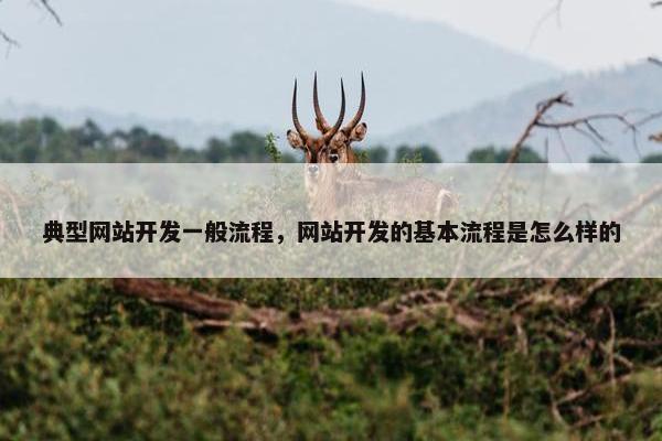典型网站开发一般流程，网站开发的基本流程是怎么样的