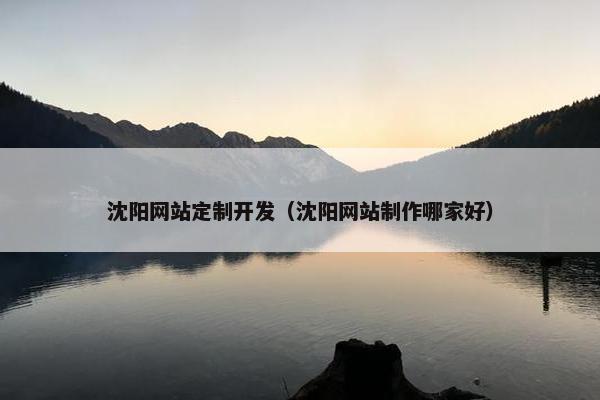 沈阳网站定制开发（沈阳网站制作哪家好）