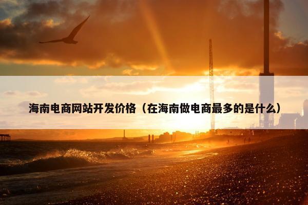 海南电商网站开发价格（在海南做电商最多的是什么）