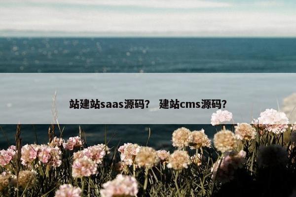 站建站saas源码？ 建站cms源码？