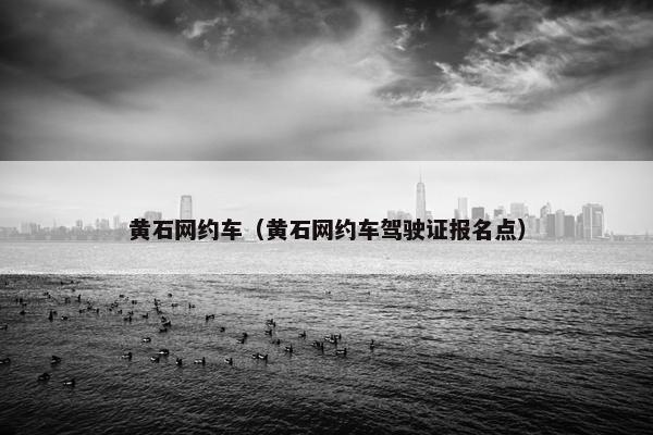 黄石网约车（黄石网约车驾驶证报名点）