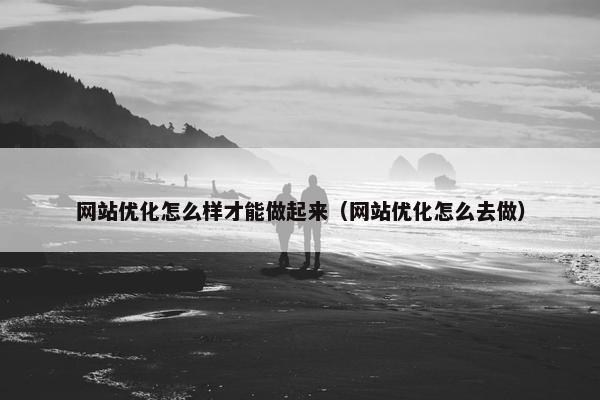 网站优化怎么样才能做起来（网站优化怎么去做）