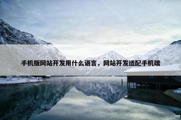 手机版网站开发用什么语言，网站开发适配手机端