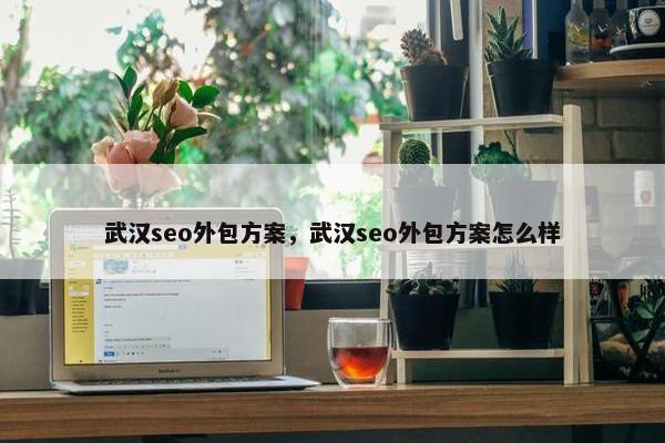 武汉seo外包方案，武汉seo外包方案怎么样
