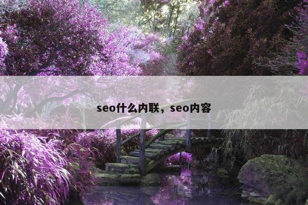 seo什么内联，seo内容