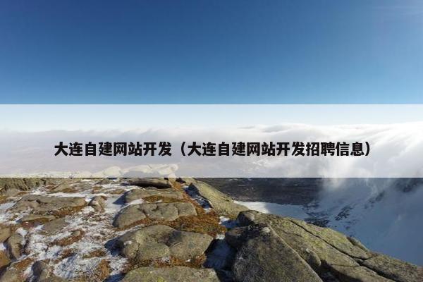 大连自建网站开发（大连自建网站开发招聘信息）