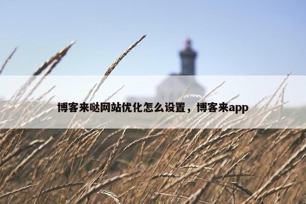 博客来哒网站优化怎么设置，博客来app