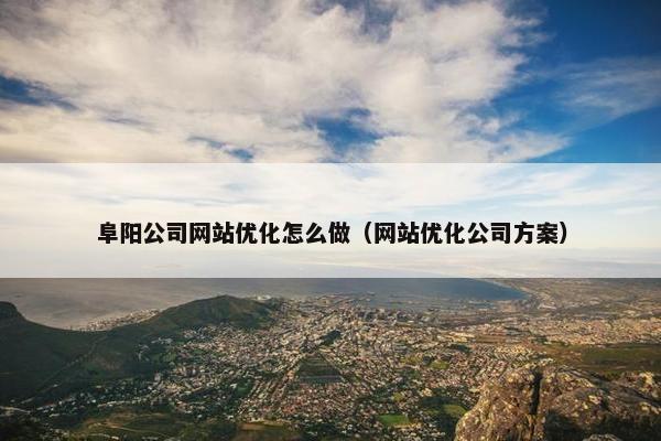 阜阳公司网站优化怎么做（网站优化公司方案）