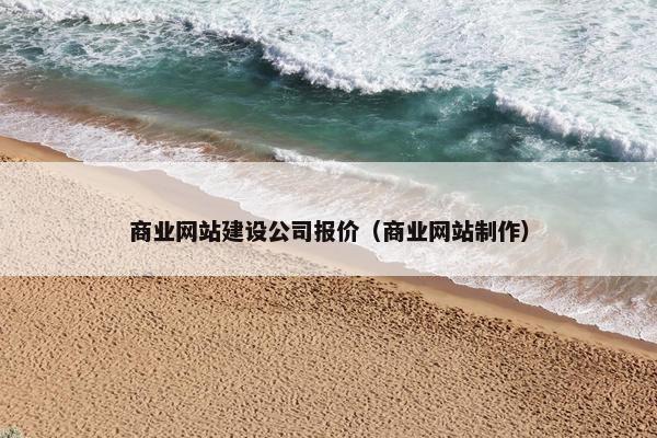 商业网站建设公司报价（商业网站制作）