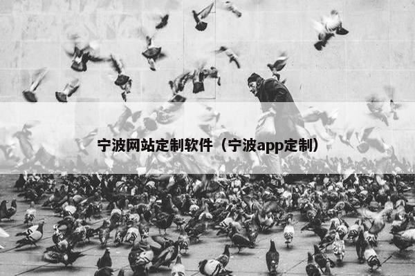 宁波网站定制软件（宁波app定制）
