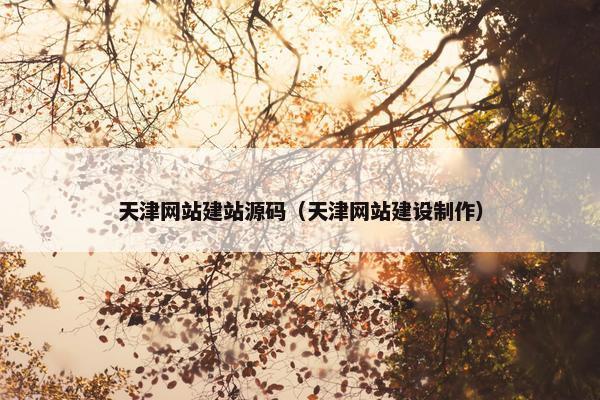 天津网站建站源码（天津网站建设制作）