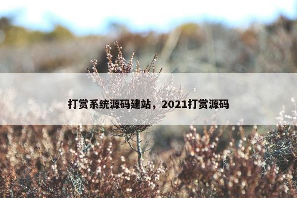 打赏系统源码建站，2021打赏源码