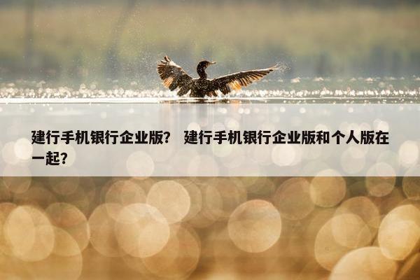 建行手机银行企业版？ 建行手机银行企业版和个人版在一起？