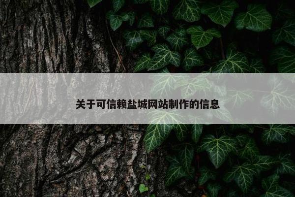 关于可信赖盐城网站制作的信息