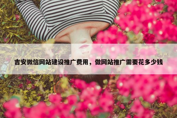 吉安微信网站建设推广费用，做网站推广需要花多少钱