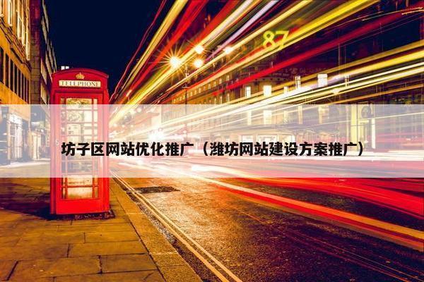 坊子区网站优化推广（潍坊网站建设方案推广）