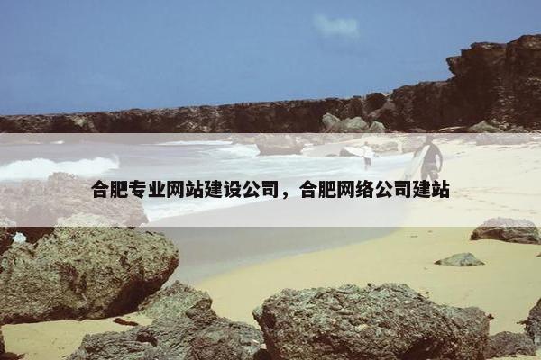 合肥专业网站建设公司，合肥网络公司建站