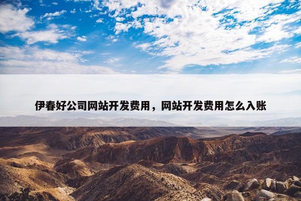 伊春好公司网站开发费用，网站开发费用怎么入账