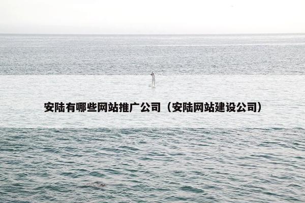 安陆有哪些网站推广公司（安陆网站建设公司）