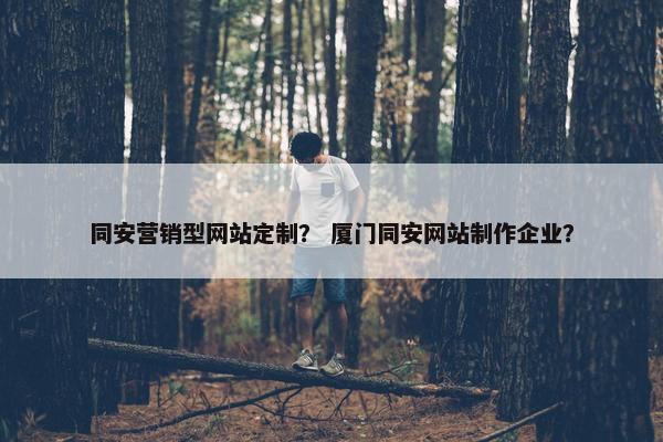 同安营销型网站定制？ 厦门同安网站制作企业？