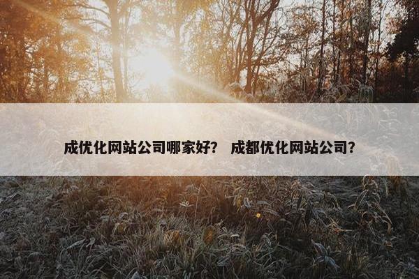 成优化网站公司哪家好？ 成都优化网站公司？