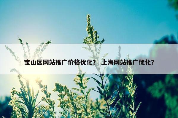 宝山区网站推广价格优化？ 上海网站推广优化？