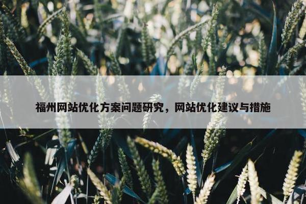 福州网站优化方案问题研究，网站优化建议与措施