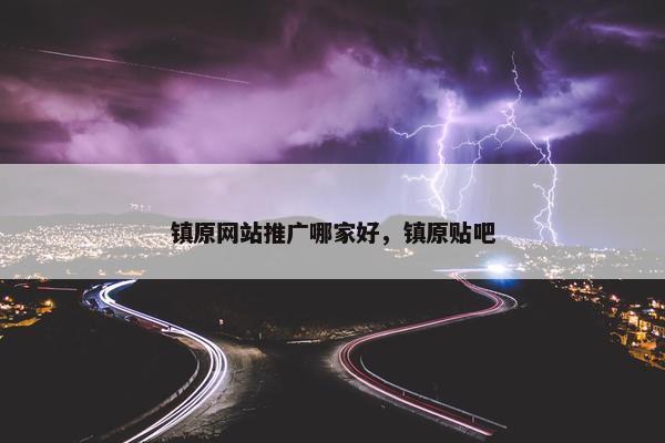 镇原网站推广哪家好，镇原贴吧