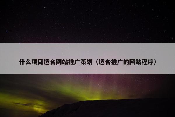 什么项目适合网站推广策划（适合推广的网站程序）
